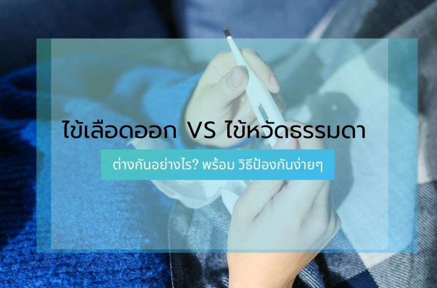  ไข้เลือดออก VS ไข้หวัดธรรมดา ต่างกันอย่างไร? พร้อม วิธีป้องกันง่ายๆ